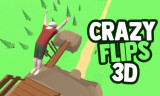 Crazy Flips 3D background