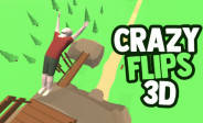 Crazy Flips 3D Crazy Flips 3D img