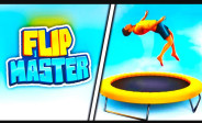 Flip Master Flip Master img