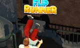 Flip Runner background