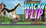 Wacky Flip background