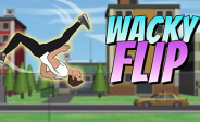 Wacky Flip Wacky Flip img